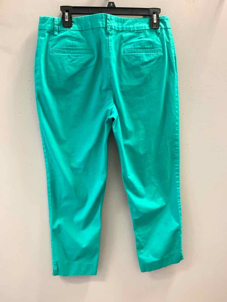 Size 10 TALBOTS BOTTOMS MINT Pants