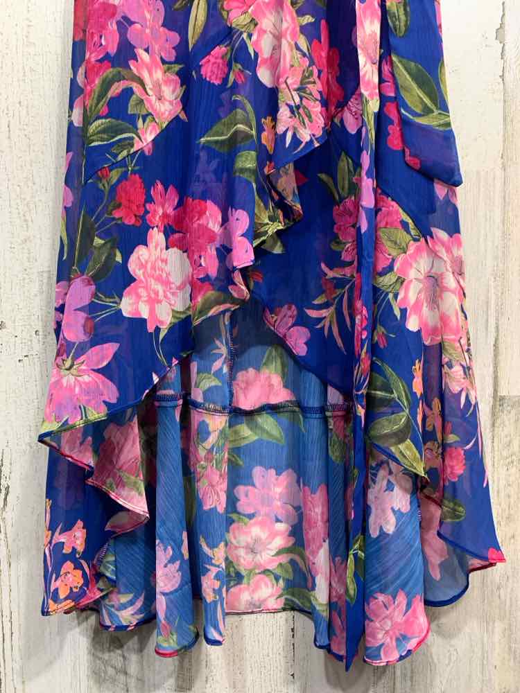 NWT JESSICA HOWARD Dresses and Skirts Size 6P BLU/PNK Flora/ HI-LOl Dress