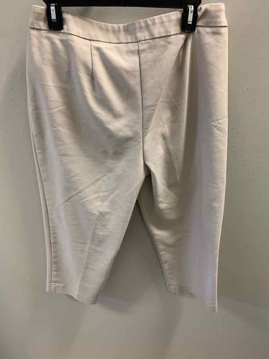 Size 1.5 CHICOS BOTTOMS Khaki Pants