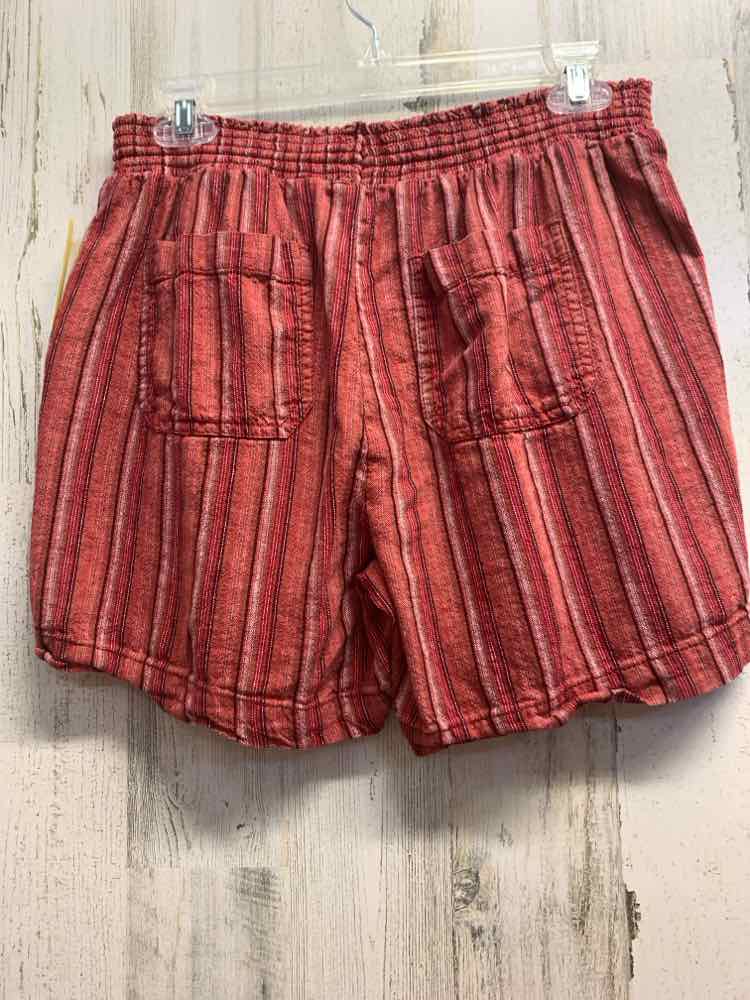 PRE-OWNED Size 4 BRIGGS BOTTOMS BRICK VERTICAL STRIPES SHORTS Shorts/VERTICAL PA