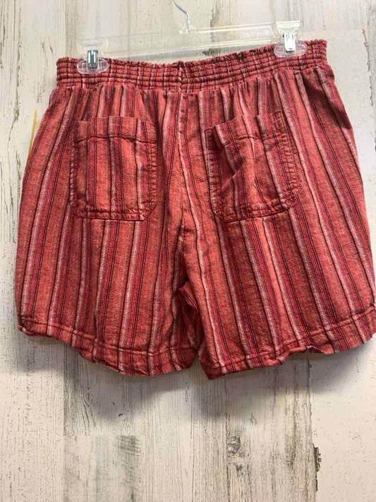 PRE-OWNED Size 4 BRIGGS BOTTOMS BRICK VERTICAL STRIPES SHORTS Shorts/VERTICAL PA