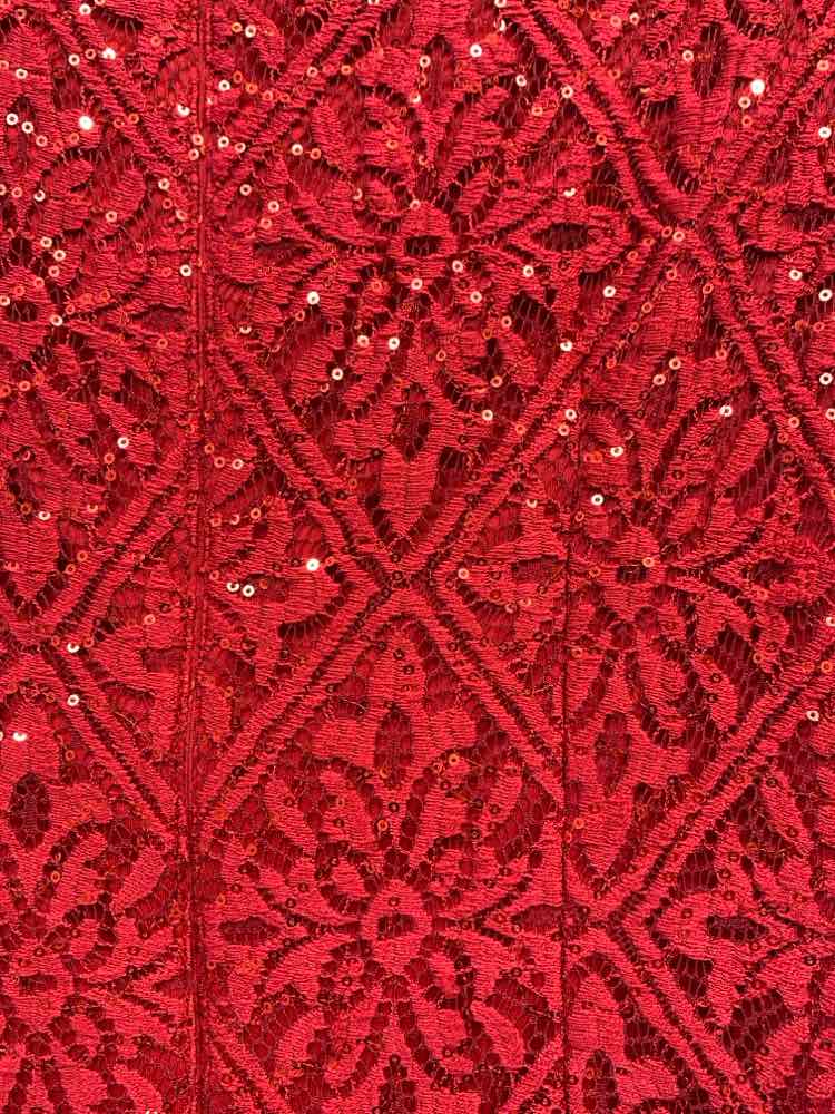 PRE-OWNED JESSICA HOWARD Dresses and Skirts Size 12 Red Lace A-LINE TOP/RED LACE