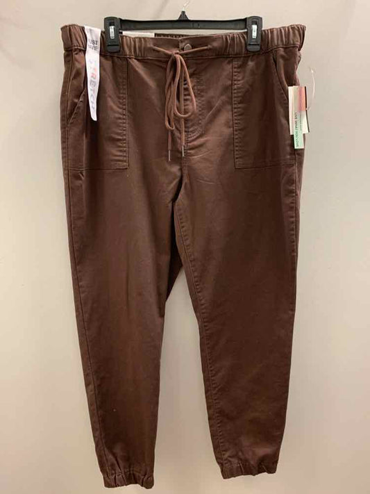 Size 1X TINSEL TOWN Brown Pants