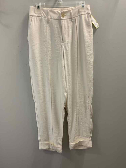 NWT Size 6 A NEW DAY BOTTOMS Cream STRAIGHT Pants