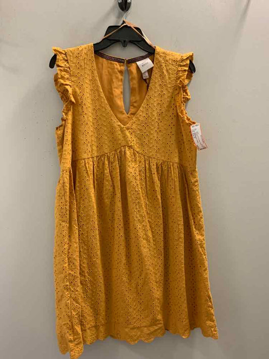 NWT KNOX ROSE Dresses and Skirts Size S Mustard CAP SLEEVE Dress